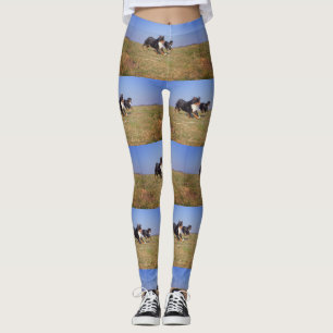 bernese mountain dog group second leggings