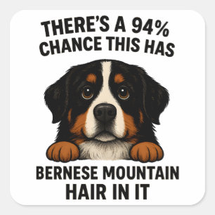 Bernese Mountain Dog Hair In Everything Funny Square Sticker