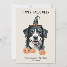 Bernese Mountain Dog Halloween Card | Witch Hat Pu