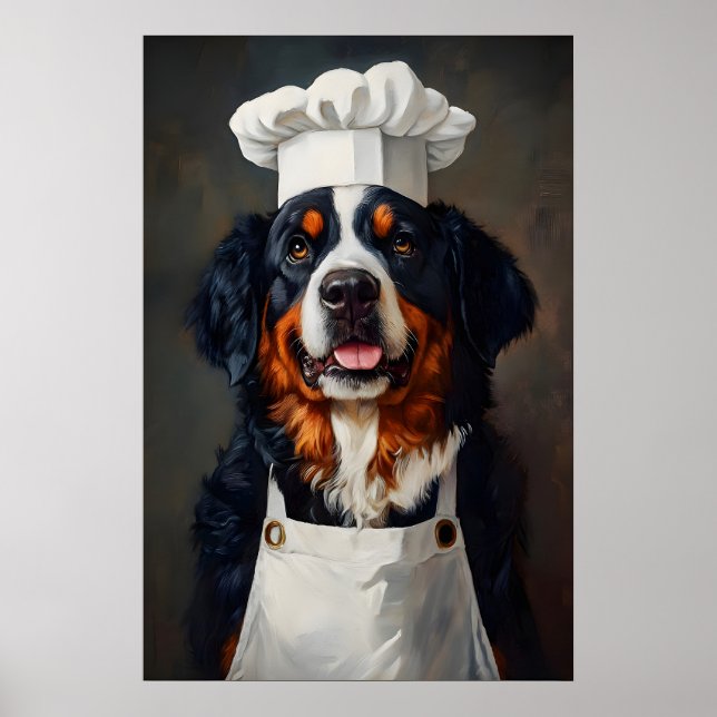 Bernese Mountain Dog In Chefs Hat Poster, Pet Poster (Front)