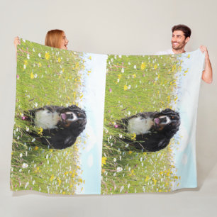 bernese mountain dog in field fleece blanket