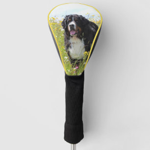 bernese mountain dog in field golf head cover