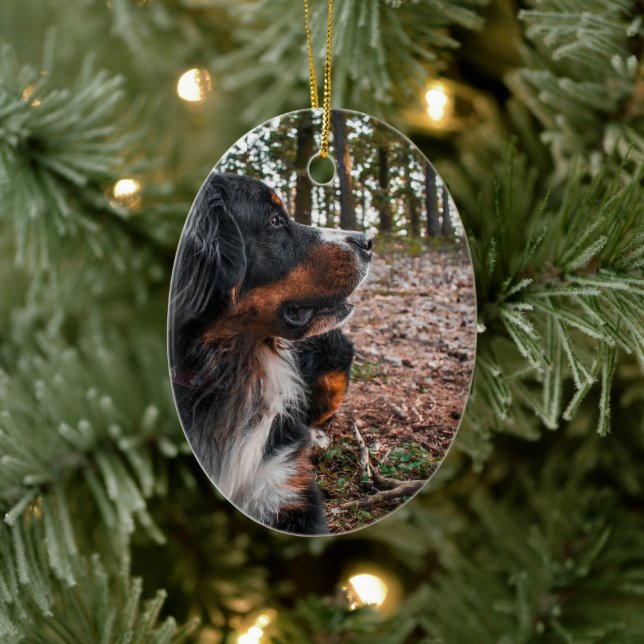 bernese mountain dog in forest ceramic tree decoration (Tree)