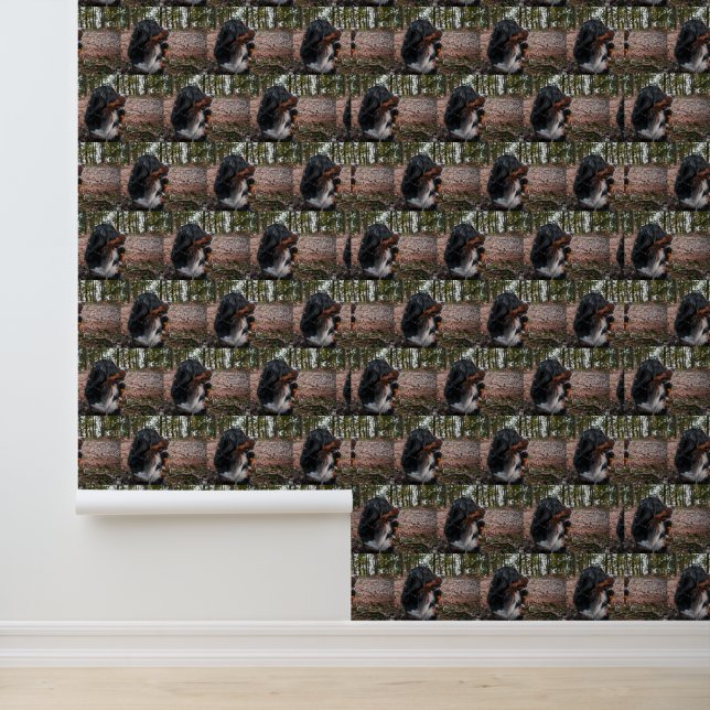 bernese mountain dog in forest wallpaper (Application)