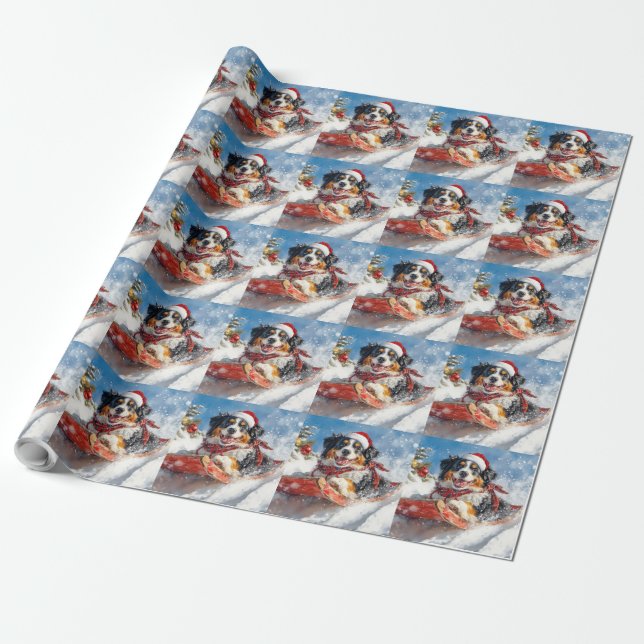 Bernese Mountain Dog in Sledge Christmas Wrapping Paper (Unrolled)