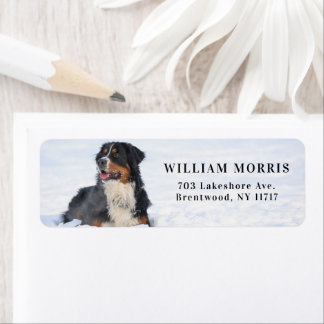 Bernese Mountain Dog in Snow Return Address