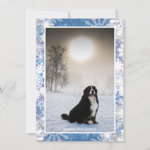 Bernese Mountain Dog In Snow Winter View Photo Holiday Card