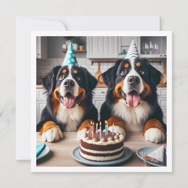 Bernese Mountain dog invitation, Dog birthday  Invitation (Front)