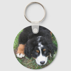 Bernese Mountain Dog Key Ring