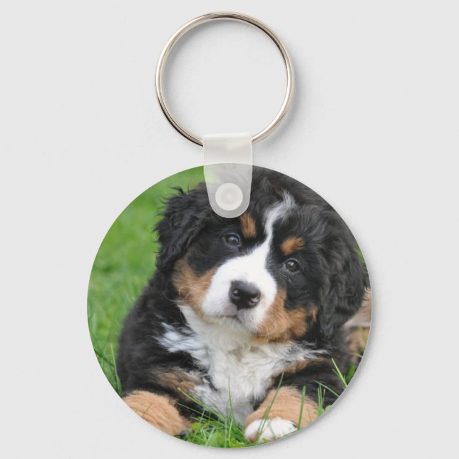 Bernese Mountain Dog Key Ring (Front)