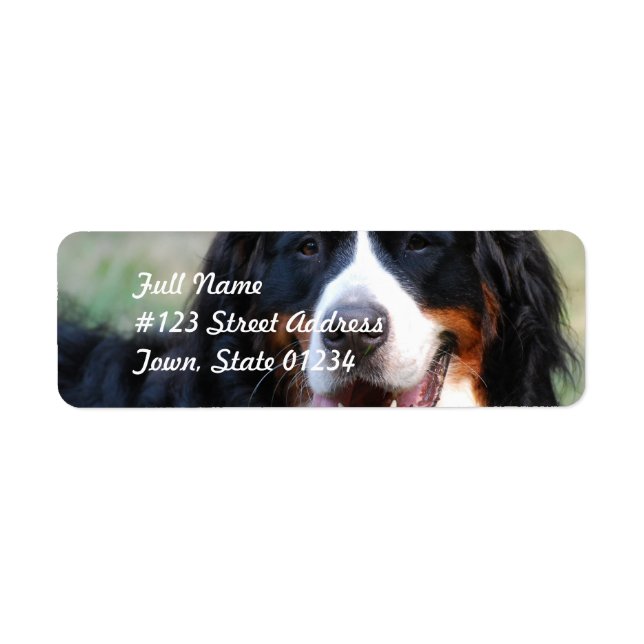 Bernese Mountain Dog Label (Front)