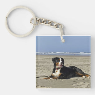 bernese-mountain-dog-layin on beach.png key ring