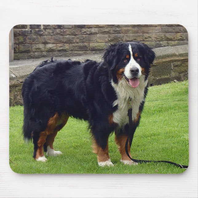 Bernese Mountain dog mouse mat (Front)