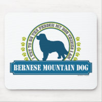 Bernese Mountain Dog