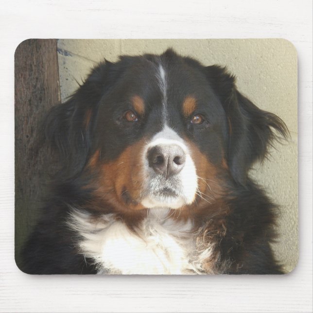 Bernese Mountain Dog Mouse Pad (Front)