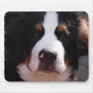 Bernese Mountain Dog Mouse Pad