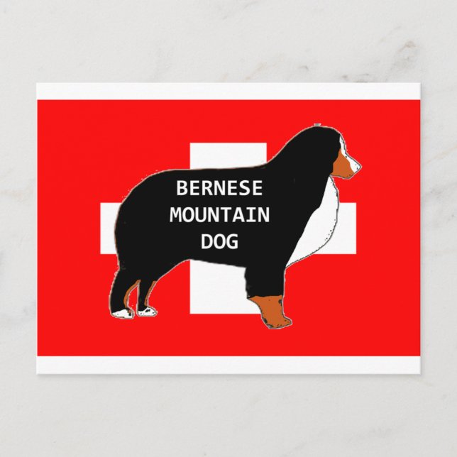 bernese mountain dog name silhouette on flag rust. postcard (Front)