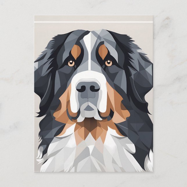 Bernese mountain dog on a grey background postcard (Front)