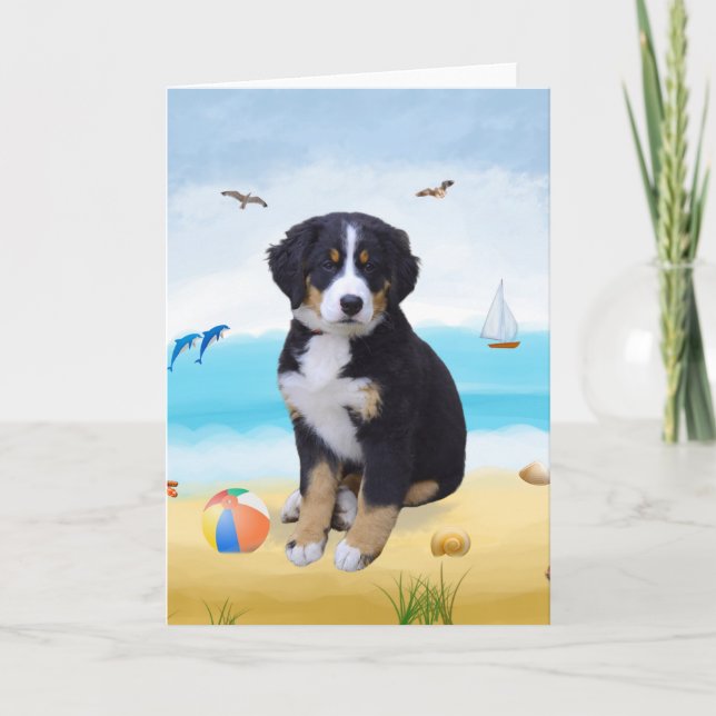 Bernese Mountain Dog on Beach  Card (Front)