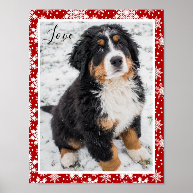 Bernese mountain dog On Red and White Snowflake  Poster (Front)