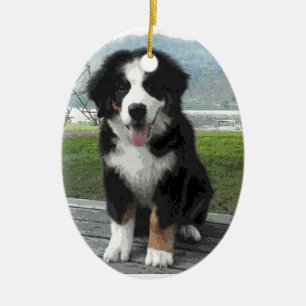 Bernese Mountain Dog Ornament