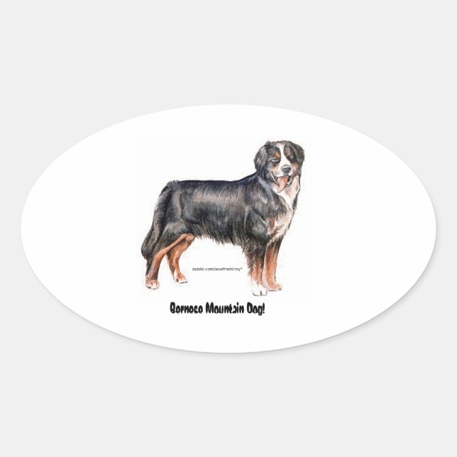 Bernese Mountain Dog Oval Sticker (Front)