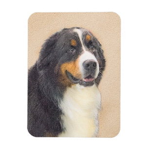Bernese Mountain Dog Painting - Original Dog Art Magnet