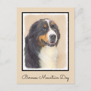Bernese Mountain Dog Painting - Original Dog Art Postcard