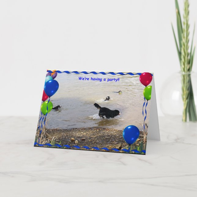 Bernese Mountain Dog Party Card (Front)