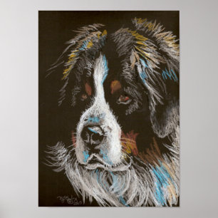 Bernese Mountain Dog Pastel Portrait Poster