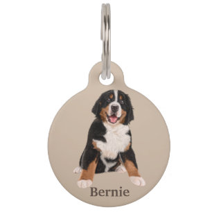 Bernese Mountain Dog Personalise Pet Tag