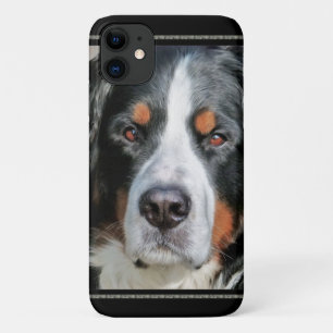 Bernese Mountain Dog Photo Image iPhone 11 Case