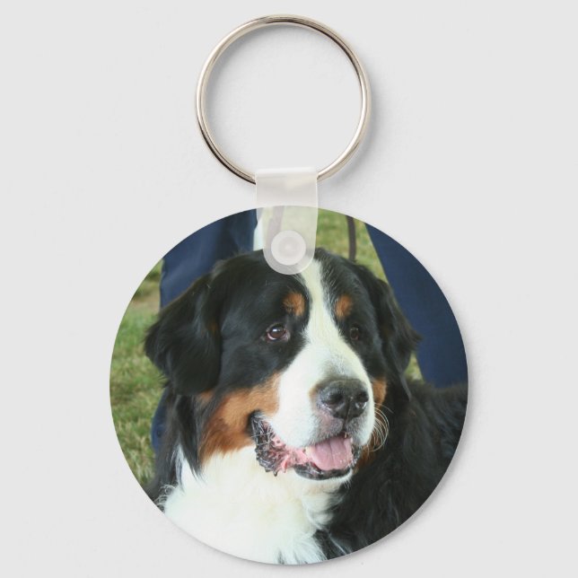 Bernese Mountain Dog Photo Key Ring (Front)