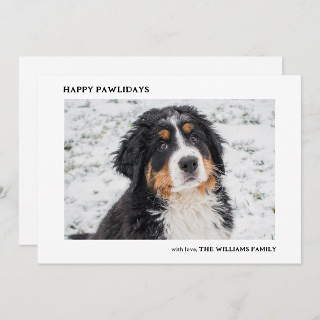 Bernese Mountain Dog Photo Minimal Christmas Holiday Card (Front/Back)