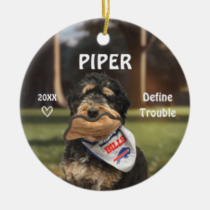 Bernese Mountain Dog Photo Ornament