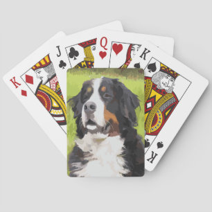Bernese mountain dog playing cards