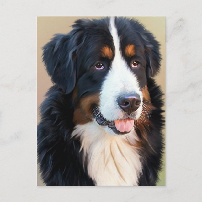 Bernese Mountain Dog Portrait Postcard (Front)