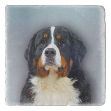 Bernese Mountain Dog Portrait Stone Trivet