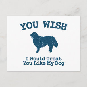 Bernese Mountain Dog Postcard