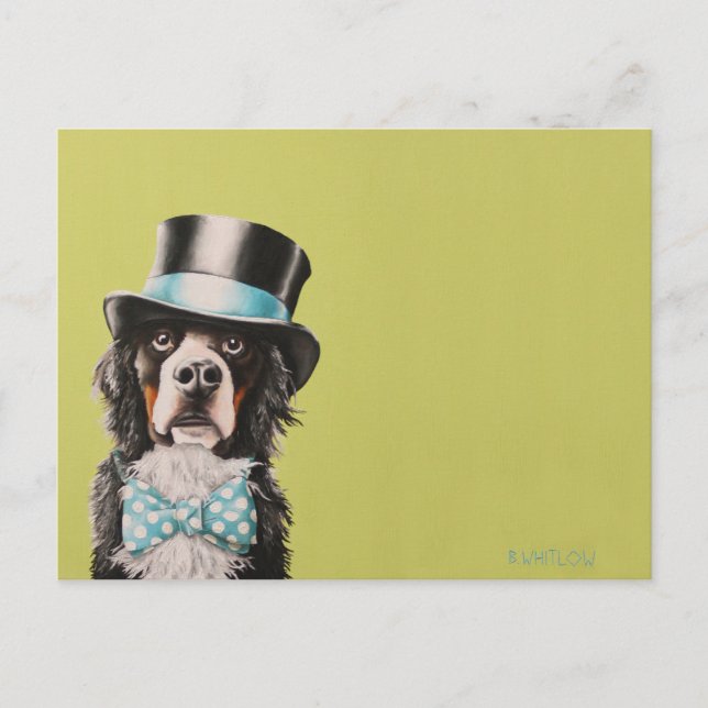 Bernese Mountain Dog Postcard - Toben (Front)