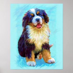 bernese mountain dog poster