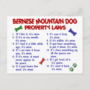 BERNESE MOUNTAIN DOG Property Laws 2 Postcard