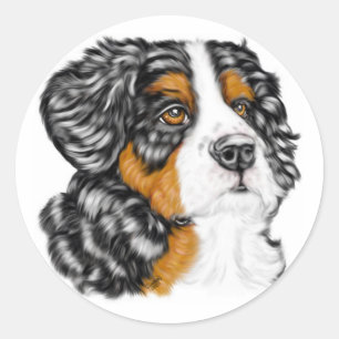 Bernese Mountain Dog Pup Classic Round Sticker