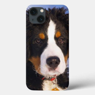 Bernese Mountain Dog Pup iPad case