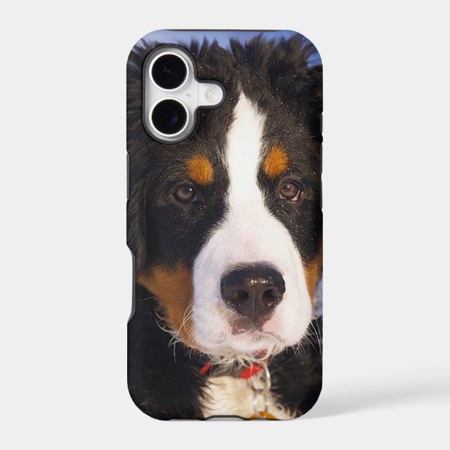 Bernese Mountain Dog Pup iPhone 5 case (Back)