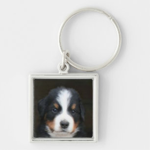 Bernese mountain dog pup keychain