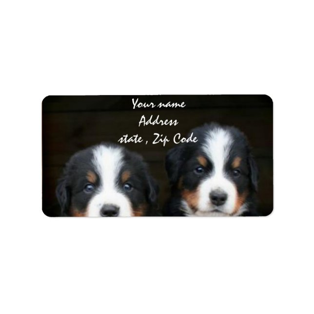Bernese Mountain dog puppies address label (Front)