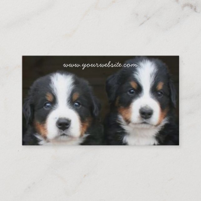 Bernese Mountain dog puppies business card (Front)