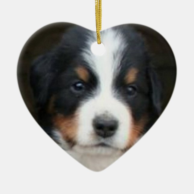 Bernese mountain dog puppies ornament (Front)