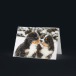 Bernese Mountain Dog Puppies Sniff Each Other Card<br><div class="desc">Snowy bernese mountain dog puppies sniff each others</div>